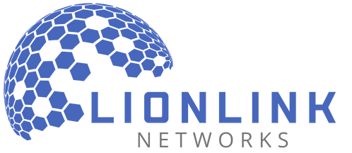 LionLink Networks | Powerful Infrastructure Solutions